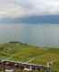 Lavaux Vineyard Terraces
