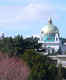 Kirche am Steinhof