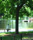 Boston Common