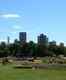 Lincoln Park & Old Town