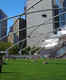 Grant Park & Millennium Park
