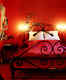 Hotel Fox