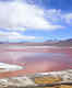 Laguna Colorada: The Red Lagoon of Bolivia