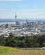 Auckland's popular volcanic peaks