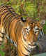 Sundarbans National Park