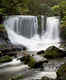 Mount Field National Park