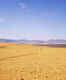 Gobi Desert