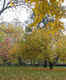 Madison Square Park