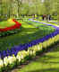 Keukenhof