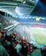 The top 10 spectator sports in the world