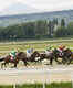 Kentucky Derby