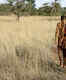 San People