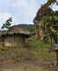 Papuan Tribes