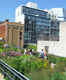 The High Line