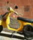 Scooter Rental