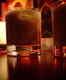 Bar Fly