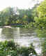 Canoe