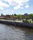 Tigre Delta