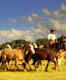 Visit an estancia