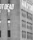 A.Y. Not Dead