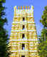 Mallikarjuna Temple, Srisailam, Andhra Pradesh