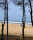 Paradip Beach