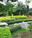 Phuket Botanic Garden