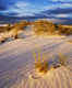 White Sands Desert
