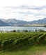 The best vineyards in and around Queenstown