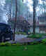 Greenwoods