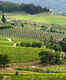 Chianti