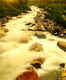Lachung