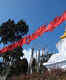 Pelling