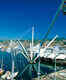 The Port of Genoa