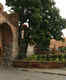 Ruins of Torun Castle