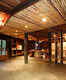 Top five luxury wildlife lodges in Madhya Pradesh