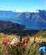 New Zealand for backpackers