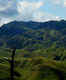 Dzukou Valley