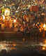 Evening Ganga Arti at the ghats