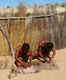 Kgalagadi Transfrontier Park