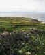 Aran Islands