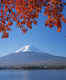 Mt. Fuji from Lake Kawaguchi