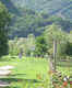 Fields and promenade by the Talavera River