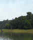 Sharavathy backwaters