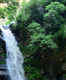 Nature trail and bird watching at Bhalu Gaad Waterfalls