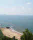 Japanese Garden and Grandmother's Hole Beach