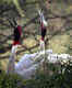Sultanpur National Park