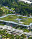 California Academy of Sciences