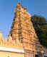 Venkateshwara Temple (popular as the TTD Venkateshwara Temple)