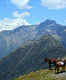 Chopta